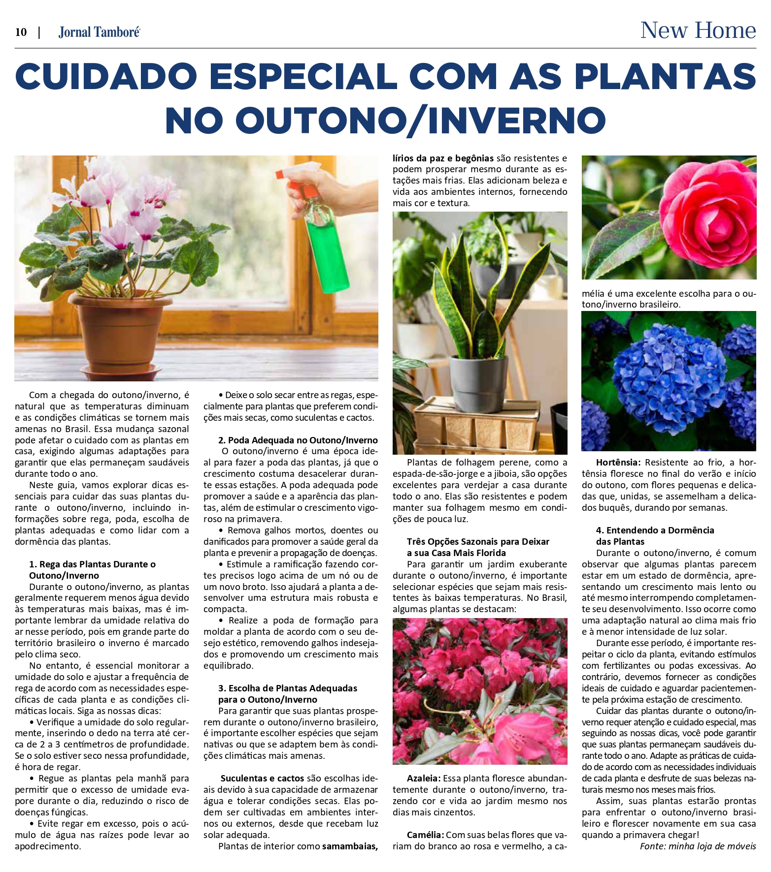 Página 1 do PDF